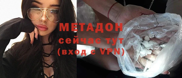 индика Вязьма