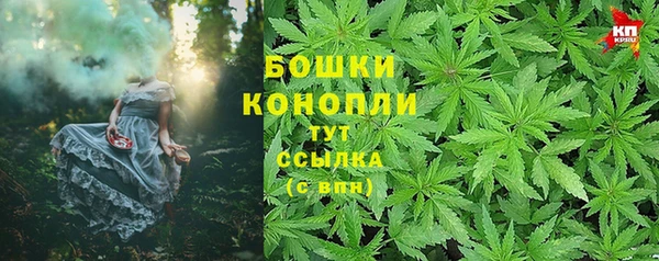тгк Вяземский