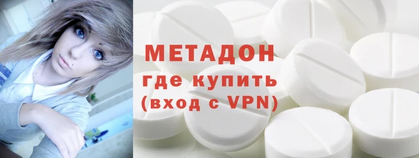 индика Вязьма
