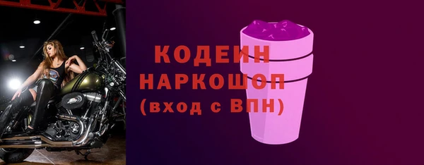индика Вязьма