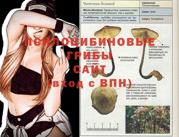тгк Вяземский