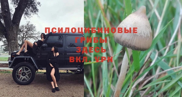 тгк Вяземский