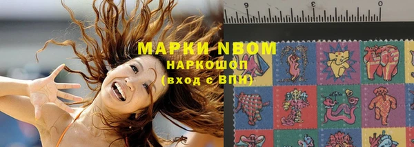 индика Вязьма