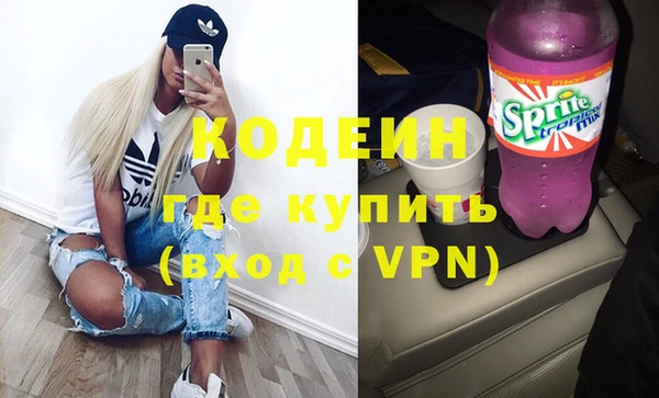 индика Вязьма