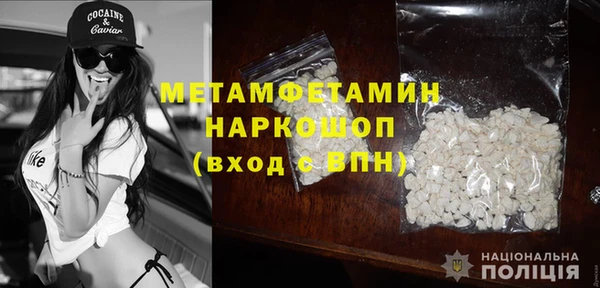 индика Вязьма