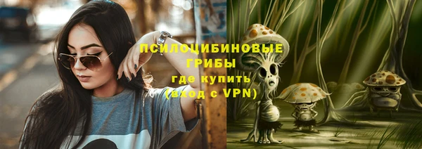 тгк Вяземский