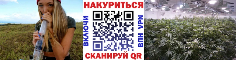 закладка  MEGA маркетплейс  Бошки Шишки THC 21%  Пласт 